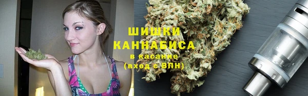ГАЛЛЮЦИНОГЕННЫЕ ГРИБЫ Алзамай