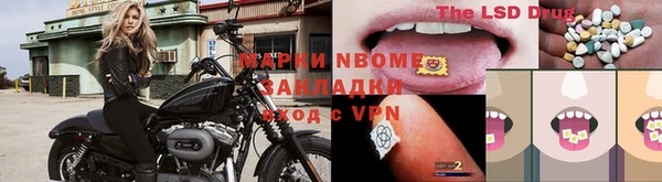 ГАЛЛЮЦИНОГЕННЫЕ ГРИБЫ Алзамай