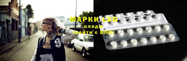 ГАЛЛЮЦИНОГЕННЫЕ ГРИБЫ Алзамай