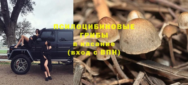 амфетамин Алексеевка