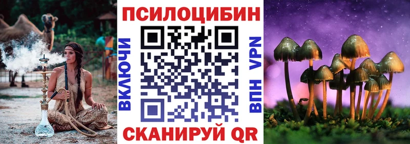 это какой сайт  закладки  Рошаль  Псилоцибиновые грибы мухоморы 